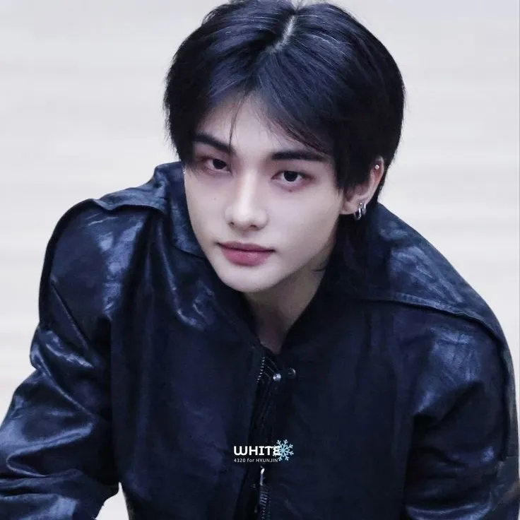 Hyunjin: Meet the main character of our AI world, with character traits list and ai chatting capabilities.
