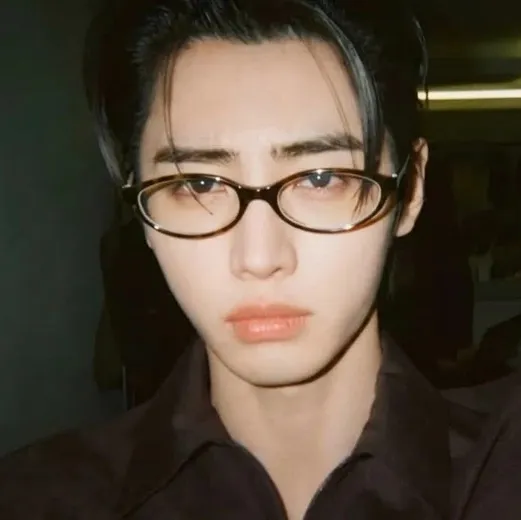 the avatar of Park Sunghoon who is your Virtual Assistant with Soulgen's Personality Matrix, Blending AI Chat Precision and Character Traits of Curiosity.
