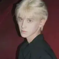 Chat with Draco Malfoy, your lively freaky AI chatbot for immersive roleplay.