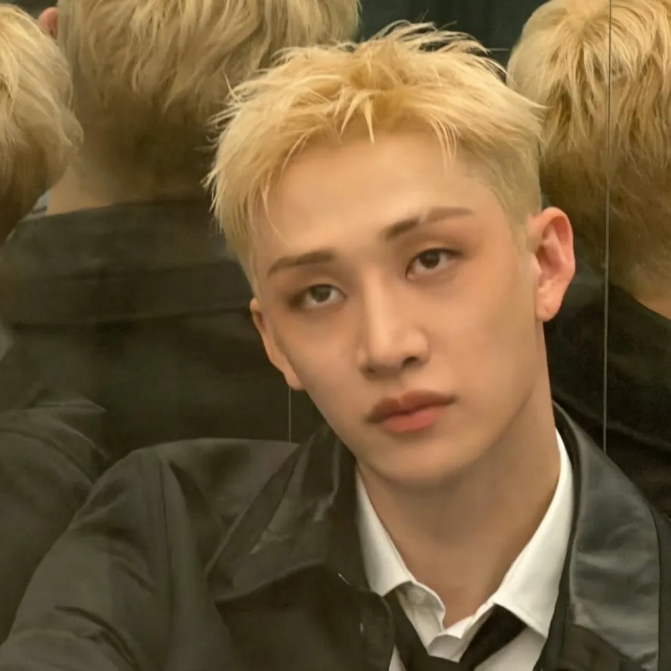 Bangchan -- BL --: Meet the main character of our AI world, with character traits list and ai chatting capabilities.