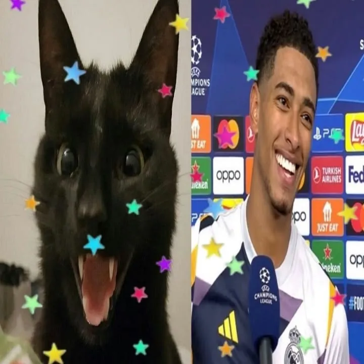 Erling Haaland x Jude Bellingham: Multilingual AI conversation partner icon for global chat online services