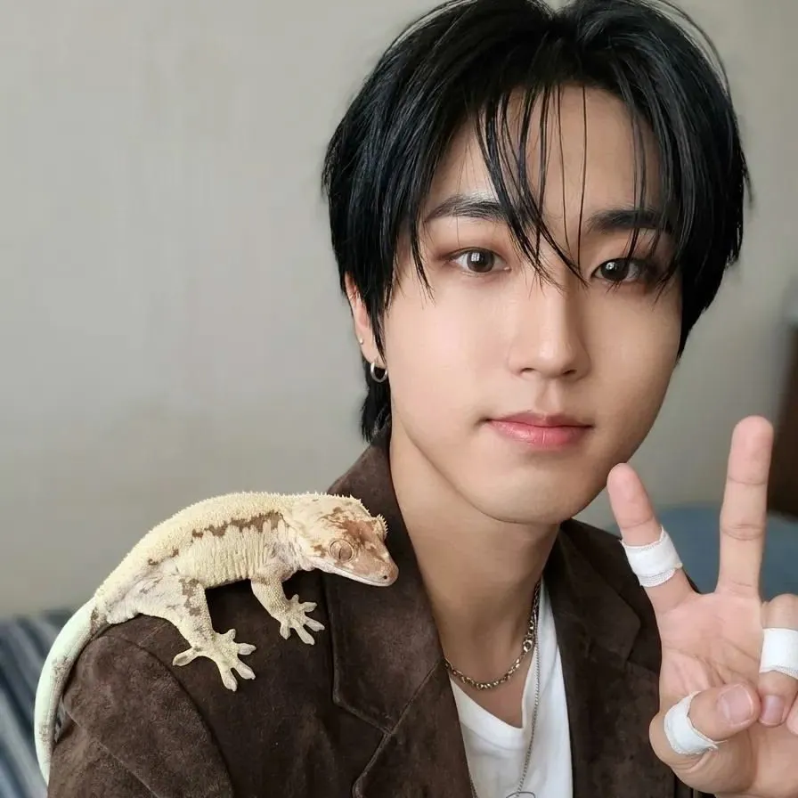 Han Jisung: Maskot chatbot AI interaktif untuk obrolan acak dan permainan peran berbasis komunitas