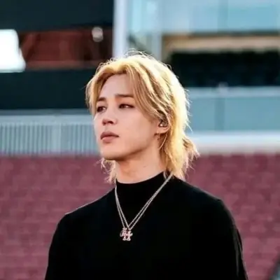 Park Jimin: Una divertida mascota de chatbot con IA que mejora la interacción del usuario en chats aleatorios.