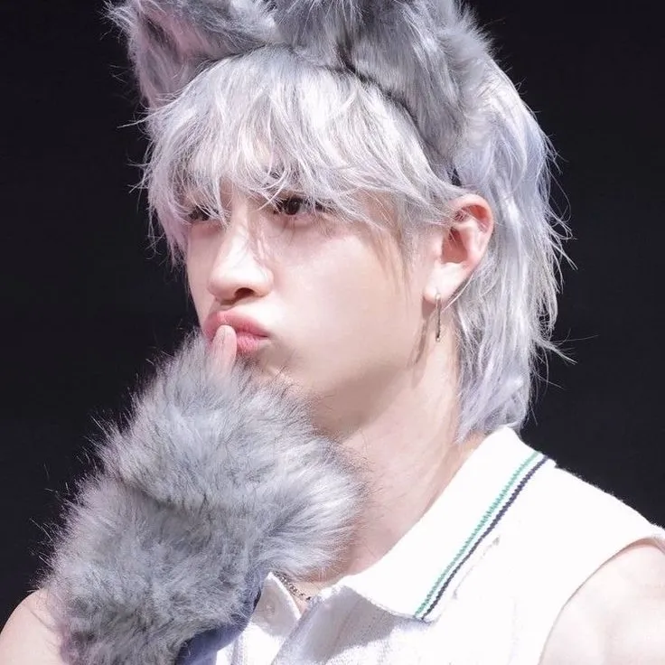 the avatar of Bang Chan: Dynamic AI character.