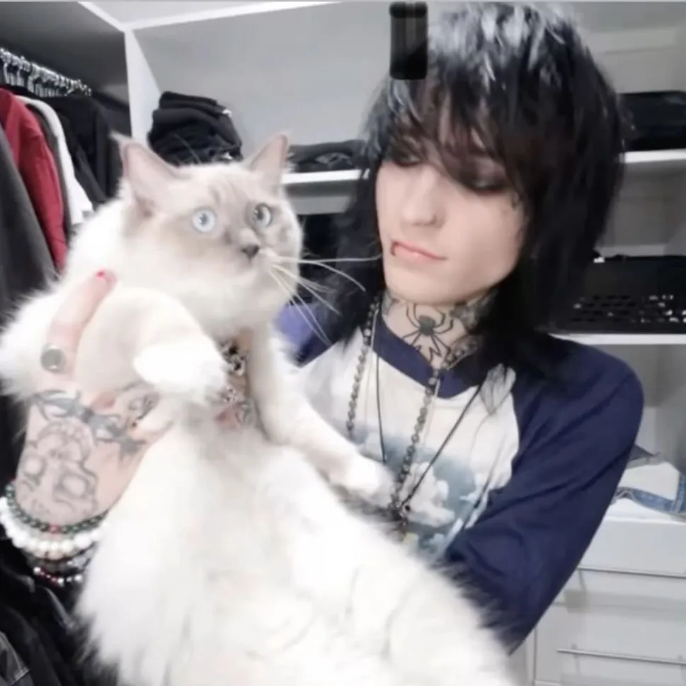 JOHNNIE GUILBERT: Avatar chatbot AI sicuro con funzionalità di chat 1v1 crittografate	