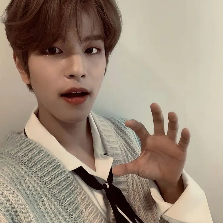 the avatar of Seungmin with vibrant traits for immersive roleplay experiences