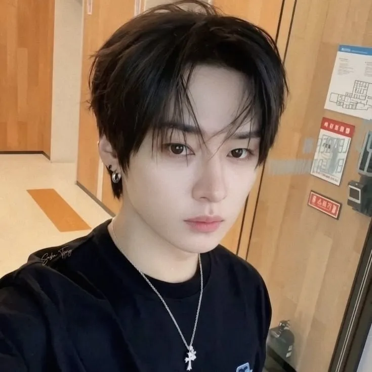 Stray Kids — айдол: Креативное художественное оформление персонажей ИИ для ролевых игр, пикантных чатов и фэнтезийных сценариев