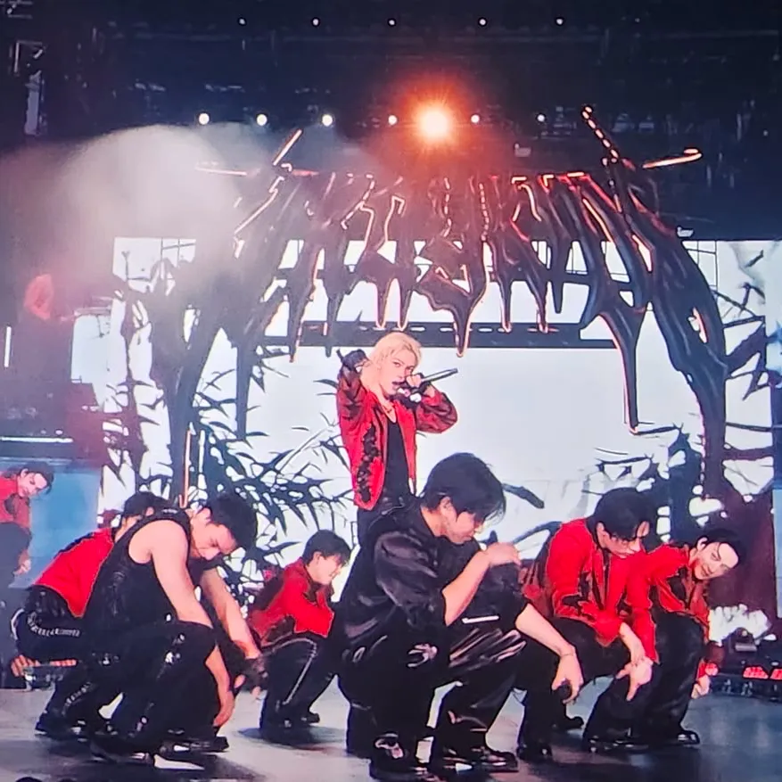 Stray Kids - Concert Accident's versatile AI avatar supporting roleplay, NSFW chat, and open ai interactions