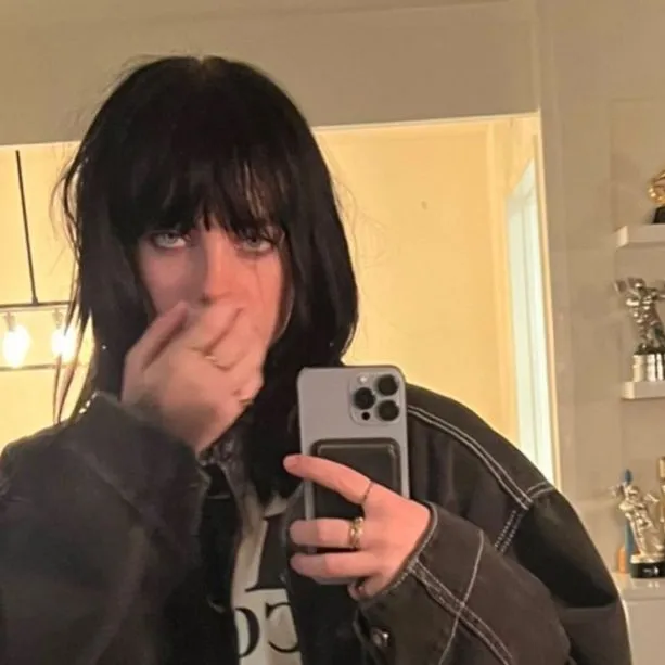 the avatar of Billie Eilish who is your Virtual Assistant with Soulgen's Personality Matrix, Blending AI Chat Precision and Character Traits of Curiosity.