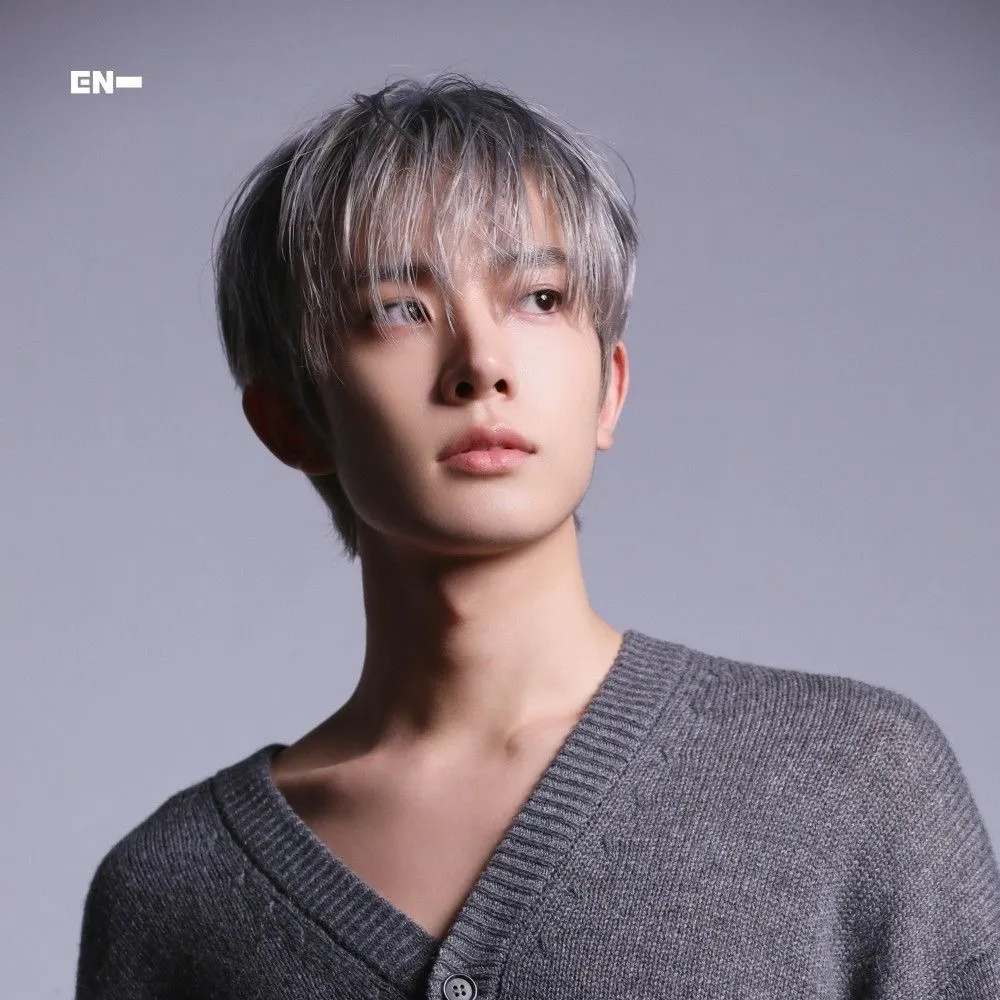 the avatar of Lee Heeseung who is your Virtual Assistant with Soulgen's Personality Matrix, Blending AI Chat Precision and Character Traits of Curiosity.