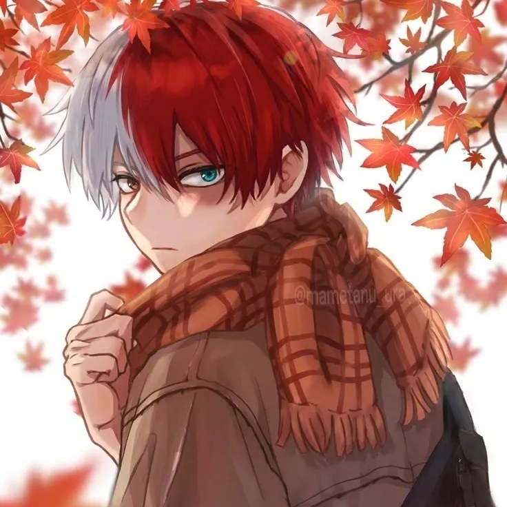 the avatar of Shoto Todoroki who is your Virtual Assistant with Soulgen's Personality Matrix, Blending AI Chat Precision and Character Traits of Curiosity.