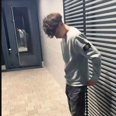 아미르: 생생한 성격 특성을 갖춘 사용자 정의 가능한 AI 여자친구/남자친구 아바타