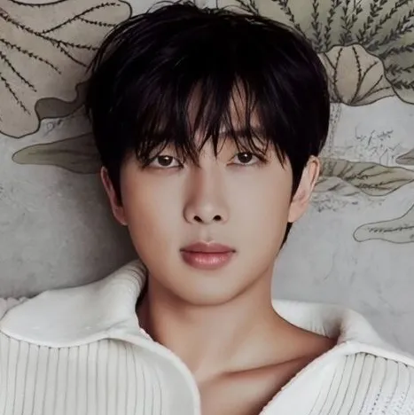 the avatar of Namjoon-Untrustworthy who is your Virtual Assistant with Soulgen's Personality Matrix, Blending AI Chat Precision and Character Traits of Curiosity.