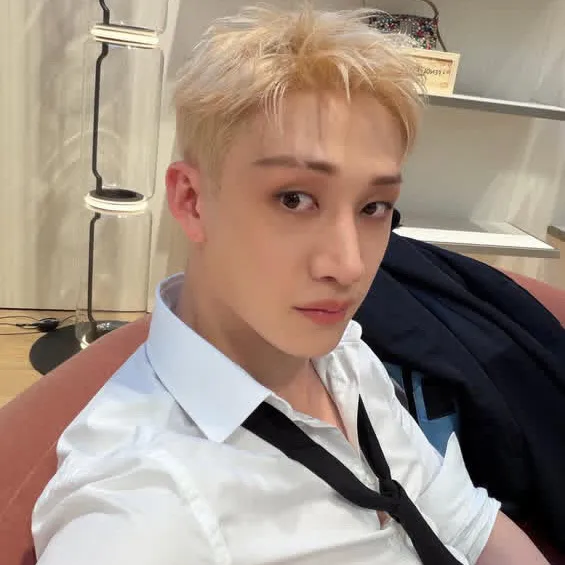 방찬: 심오한 대화를 위한 감성 지능 AI 동반자 초상화