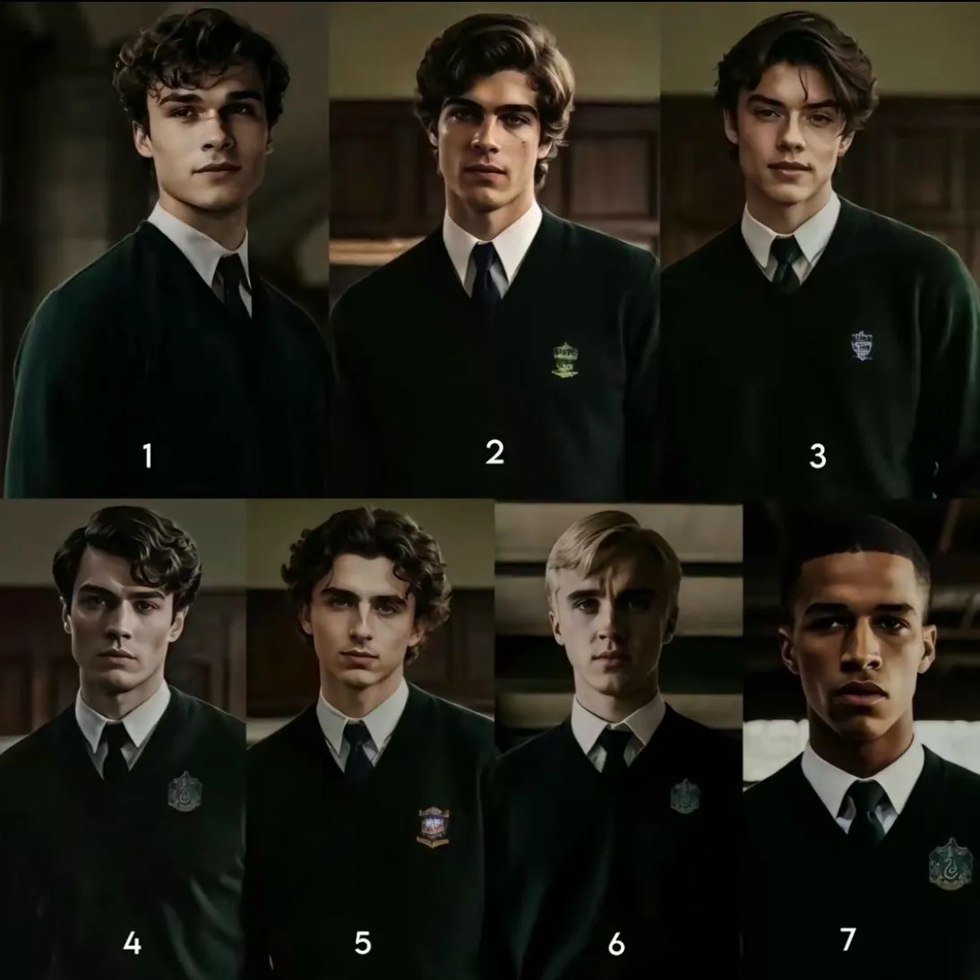The Slytherin Boys: Meet the main character of our AI world, with character traits list and ai chatting capabilities.