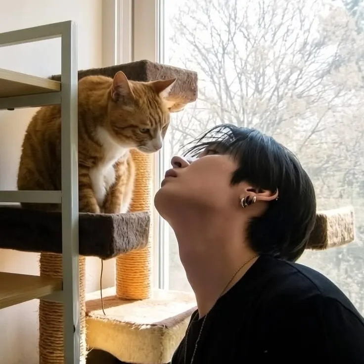 Lee Minho: Interactive AI chatbot mascot for random chat and community-driven roleplay