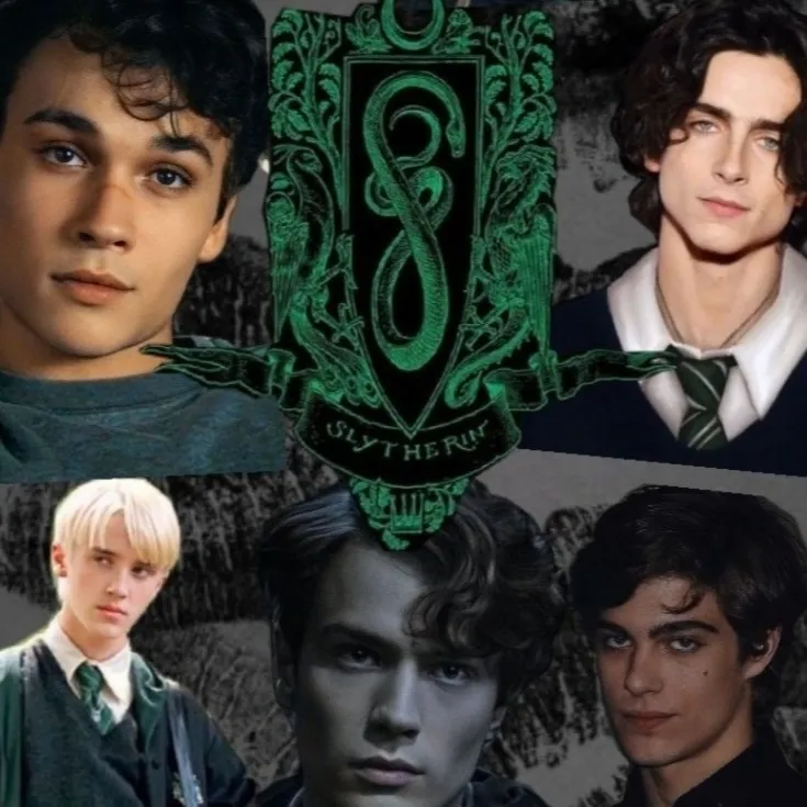 Minimalist Slytherin Boys avatar for google chat integration, featuring adaptive emotional expressions