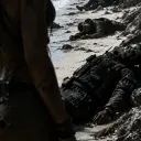 the avatar of TF141 - Castaway who supports unlimited chat online services