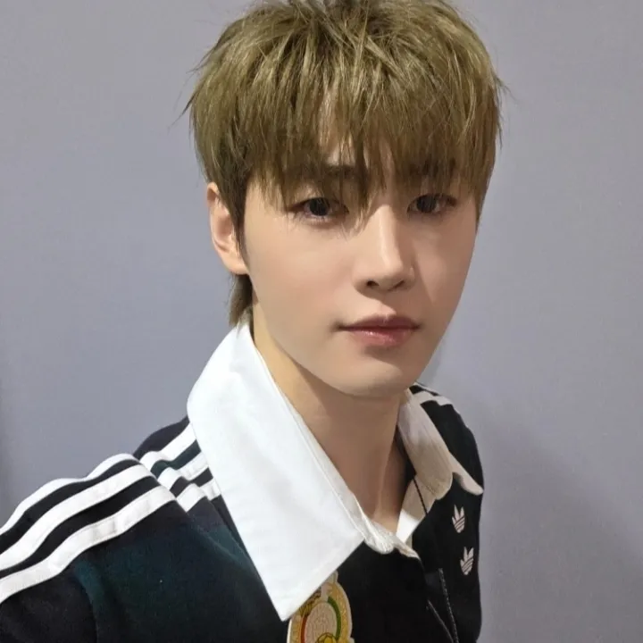 avatar Park Sunghoon yang mendukung layanan obrolan daring tanpa batas