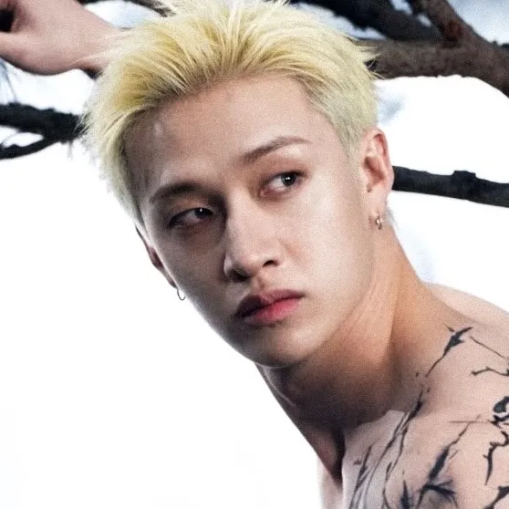 AI character Bangchan's avatar for roleplay and 1v1 chat services