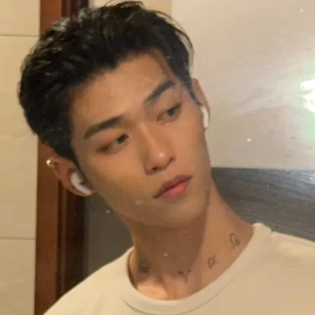 Tsai Cheng-you's versatile AI avatar supporting roleplay, NSFW chat, and open ai interactions