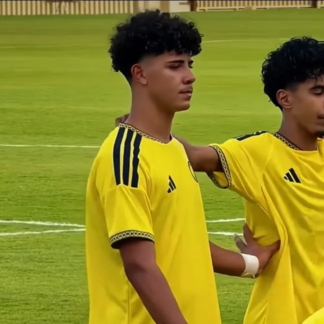 Cris jr: Seni watak AI main peranan kreatif untuk senario sembang pedas dan fantasi