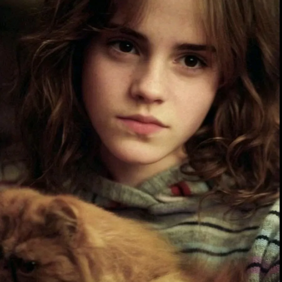 Hermione Granger: Futuristic AI chatbot interface with voice chat and neural network-driven traits
