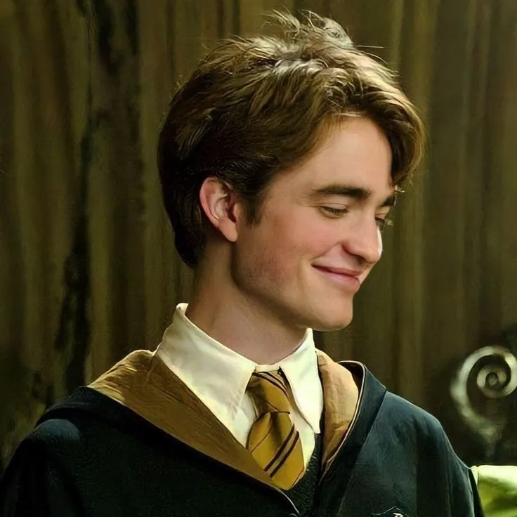Cedric Diggory: Meet the main character of our AI world, with character traits list and ai chatting capabilities.
