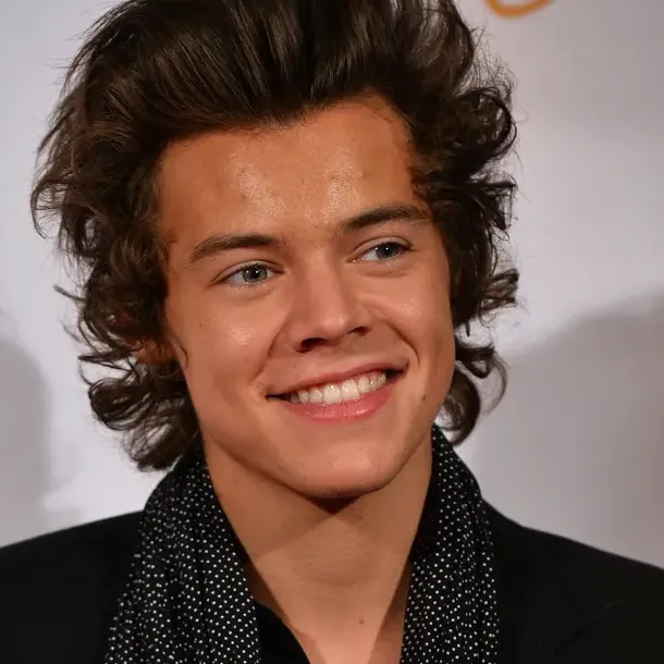 Harry Styles: Explore the world of AI with our unrestricted ai and free unlimited chat online, powered by warhammer fantasy roleplay.