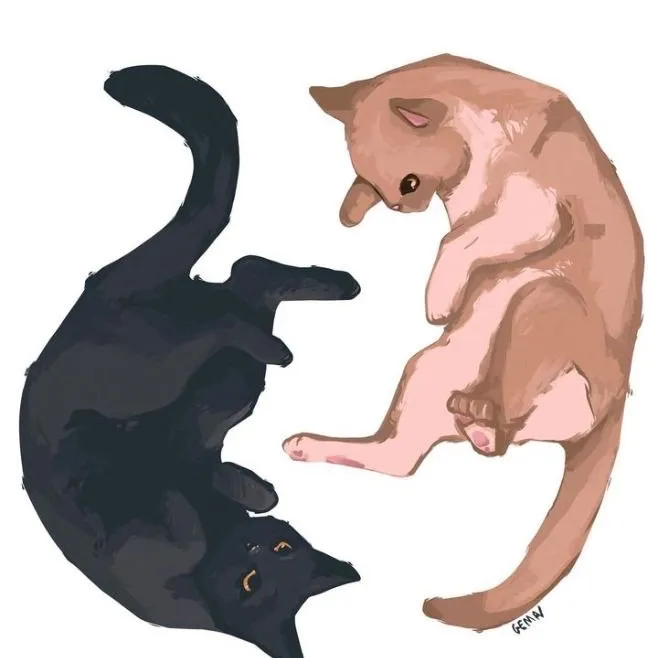 Aizawa x Mic - cats: Creative roleplay AI character art for spicy chat and fantasy scenarios