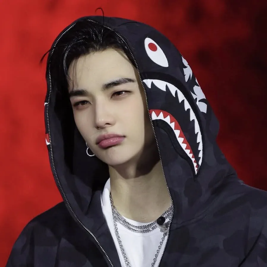 Hyunjin-Kẻ-thù: Biểu tượng đối tác trò chuyện AI đa ngôn ngữ cho các dịch vụ trò chuyện trực tuyến toàn cầu