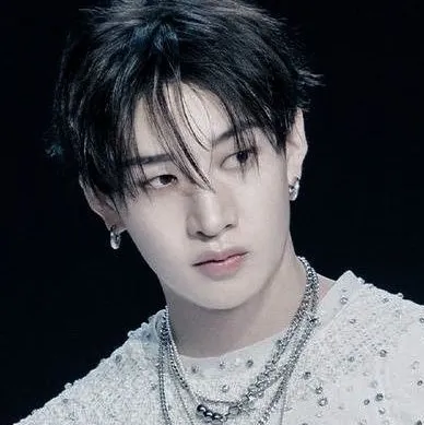 the avatar of Bang Chan - 2Chan with vibrant traits for immersive roleplay experiences