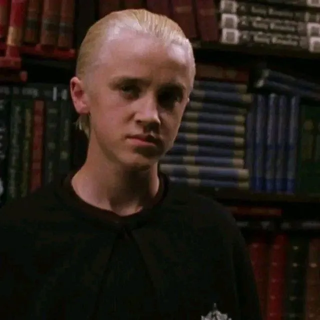 Draco Malfoy: Secure AI chatbot avatar with encrypted 1v1 chat capabilities	