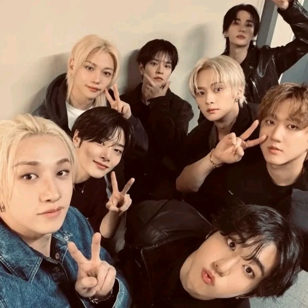 Start your 1v1 session with Straykids, a playful roleplay AI chat bot.