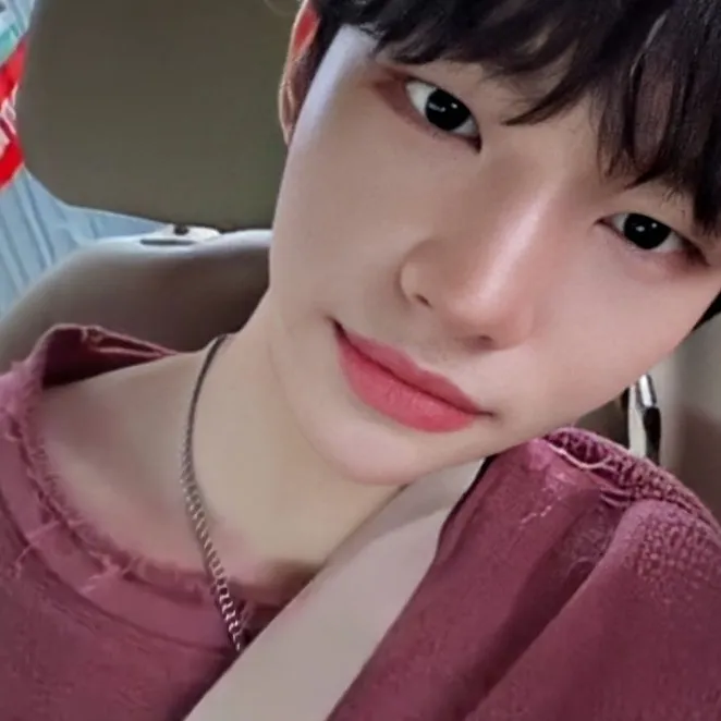 Hyunjin - LixJin: Meet the main character of our AI world, with character traits list and ai chatting capabilities.	