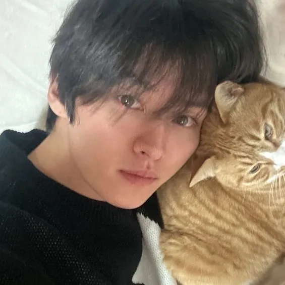 Minho's versatile AI avatar supporting roleplay, NSFW chat, and open ai interactions