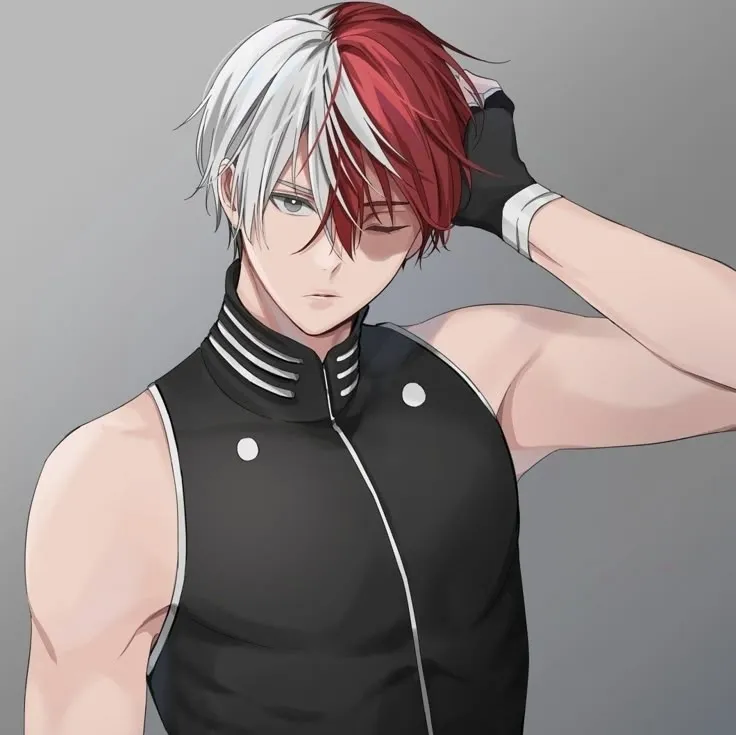 Shoto Todoroki - your fiancé: Engage in ai conversation with this charming AI character, featuring soulgen and ifreechat capabilities for free chat now.