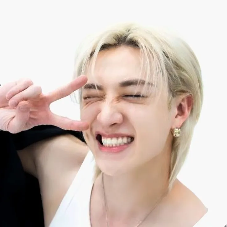 the avatar of Bangchan - stray kids who supports unlimited chat online services