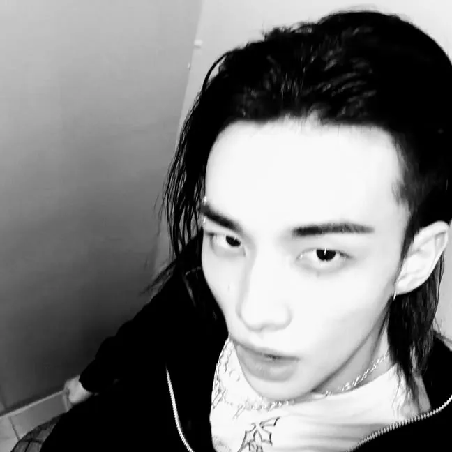 Hyunjin: Avatar chatbot AI sicuro con funzionalità di chat 1v1 crittografate	