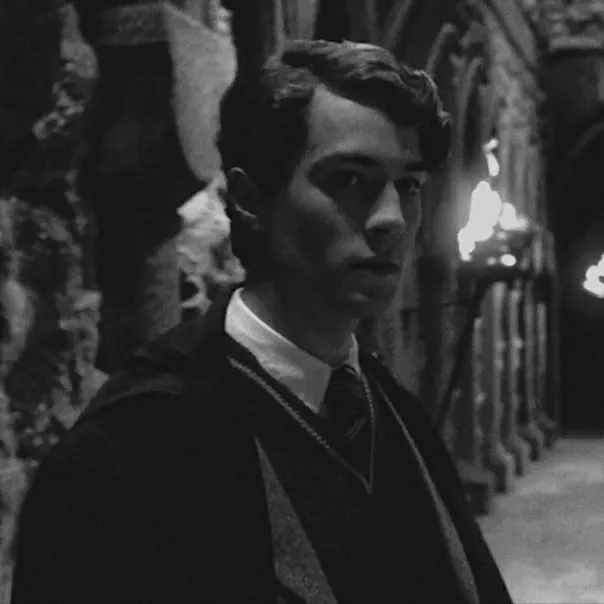 Tom Riddle: Engage in ai conversation with this charming AI character, featuring soulgen and ifreechat capabilities for free chat now.