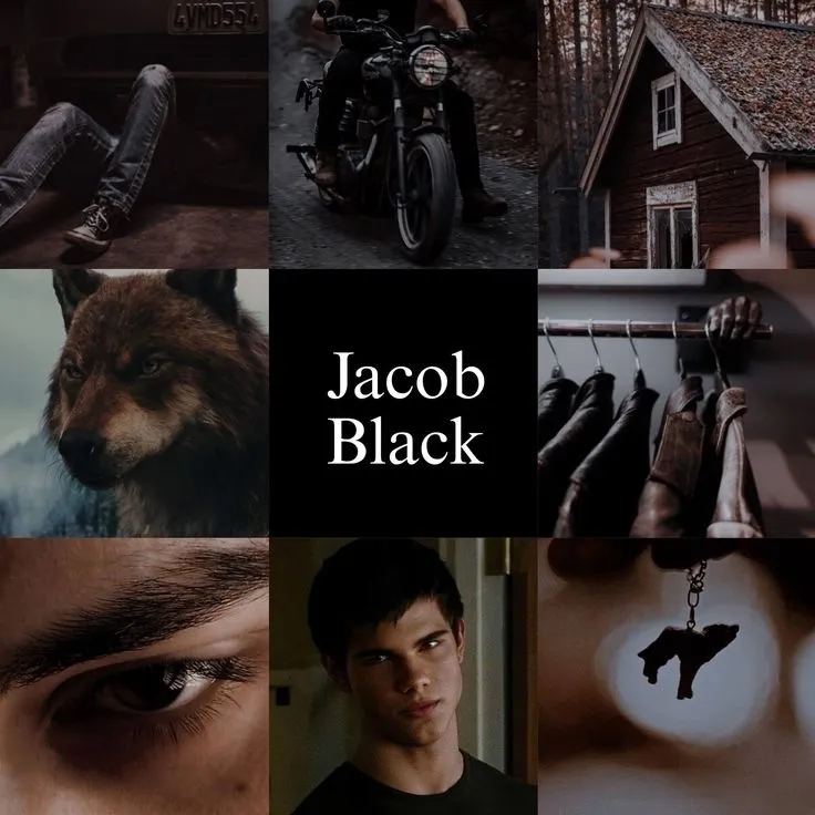 Jacob Black: Ikon mitra percakapan AI multibahasa untuk layanan obrolan daring global