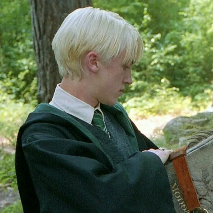 Draco Malfoy: Chatea con nuestra caja de IA, lista para chatear en línea gratis y pregúntale a la IA lo que quieras.	